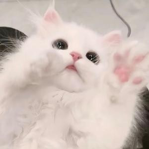 洗洗睡吧