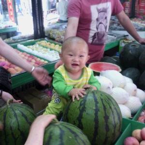 杨灿菱菱