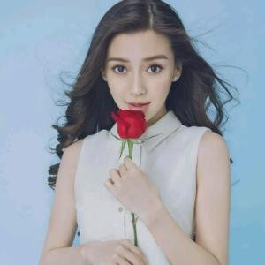 木槿昔年