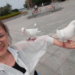 冰心