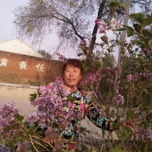 菊姐