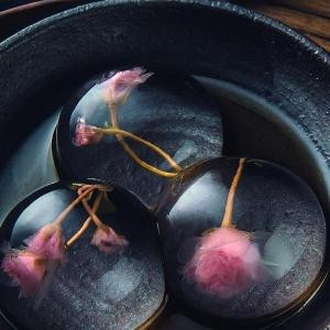 入他城、做他妃