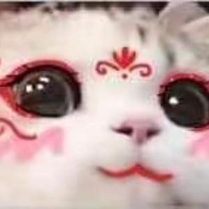 落雨的吻