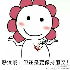 从不养花