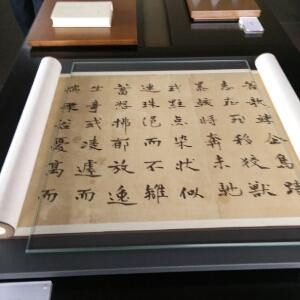心月狐