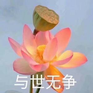 陆柒