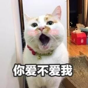 就是那个昵称