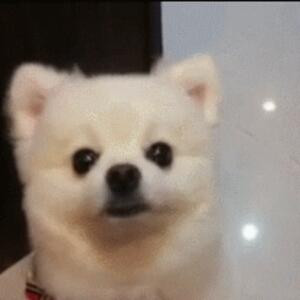 时光荏苒