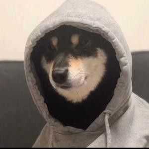 不知道取啥名字好