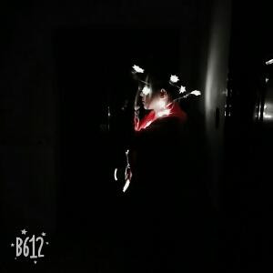 逢场作戏