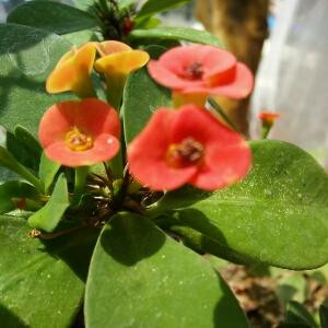 哈哈哈哈哈哈哈