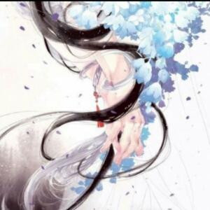 木槿昔年