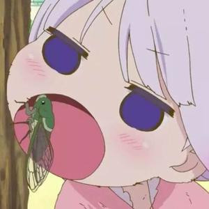 奈良的鹿