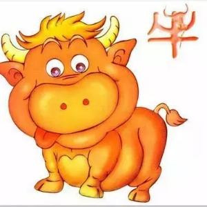 风行者