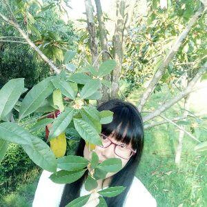 落雪无殇