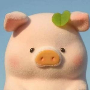 猪小白