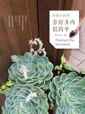 多肉小世界：养好多肉很简单