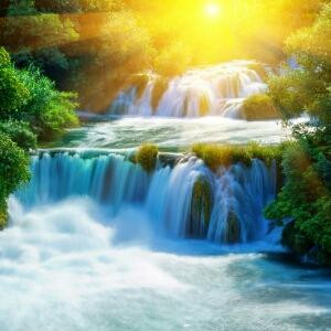 小草看海上日出