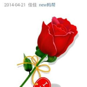 南绅