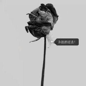 死神邪尊