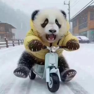 蜗牛快跑