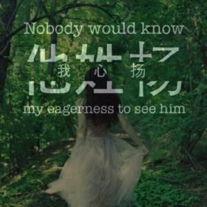 锦绣芙蓉夜未斓