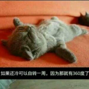 龙哥