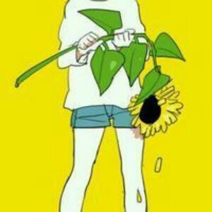 陌陌