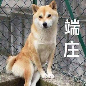 大齐