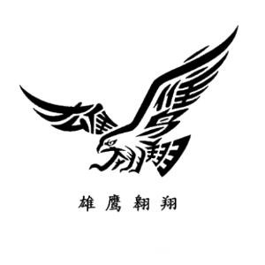 孤鹰
