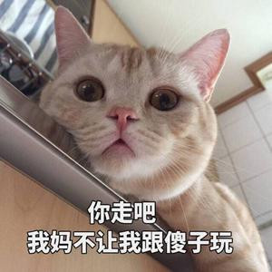 欣子