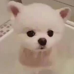 莫晓萱