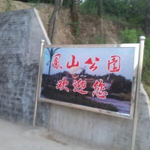 书龙