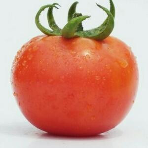 当我想你的时候