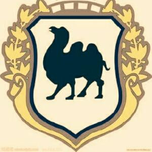 乱了感觉