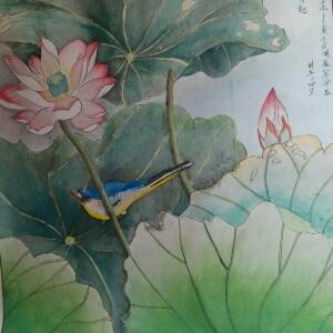 你的知音