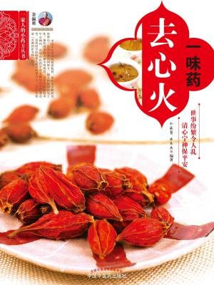 一味药去心火（一家人的小药方丛书）