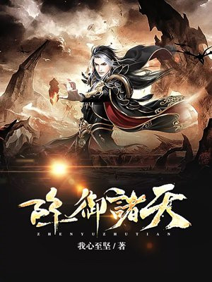 阵御诸天