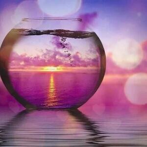 一人的地老天荒