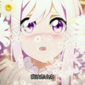 孤独之花