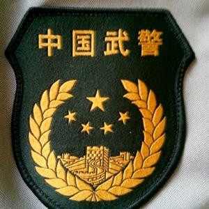双哥
