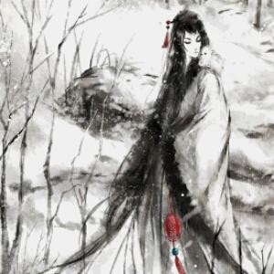 小狐