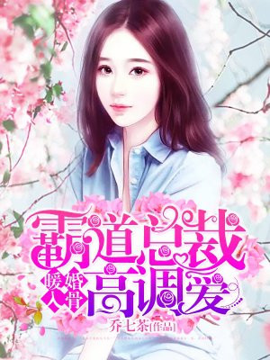 暖婚入骨:霸道总裁高调爱