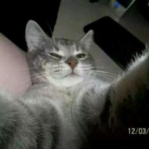 巃