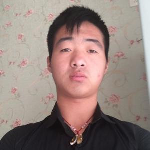 小小菲菲