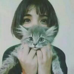 灿哥哥的小猫咪