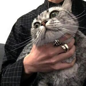 畝
