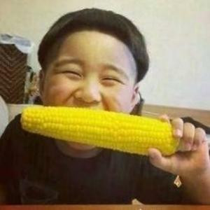 随风而逝