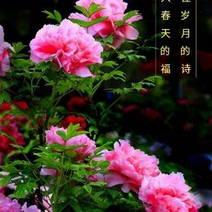 快乐宝贝