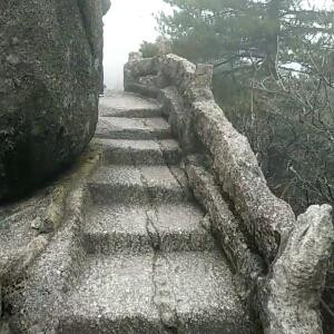 一生有您